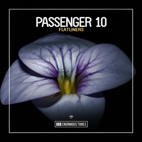 Passenger 10 - Flatliners [ETR725]